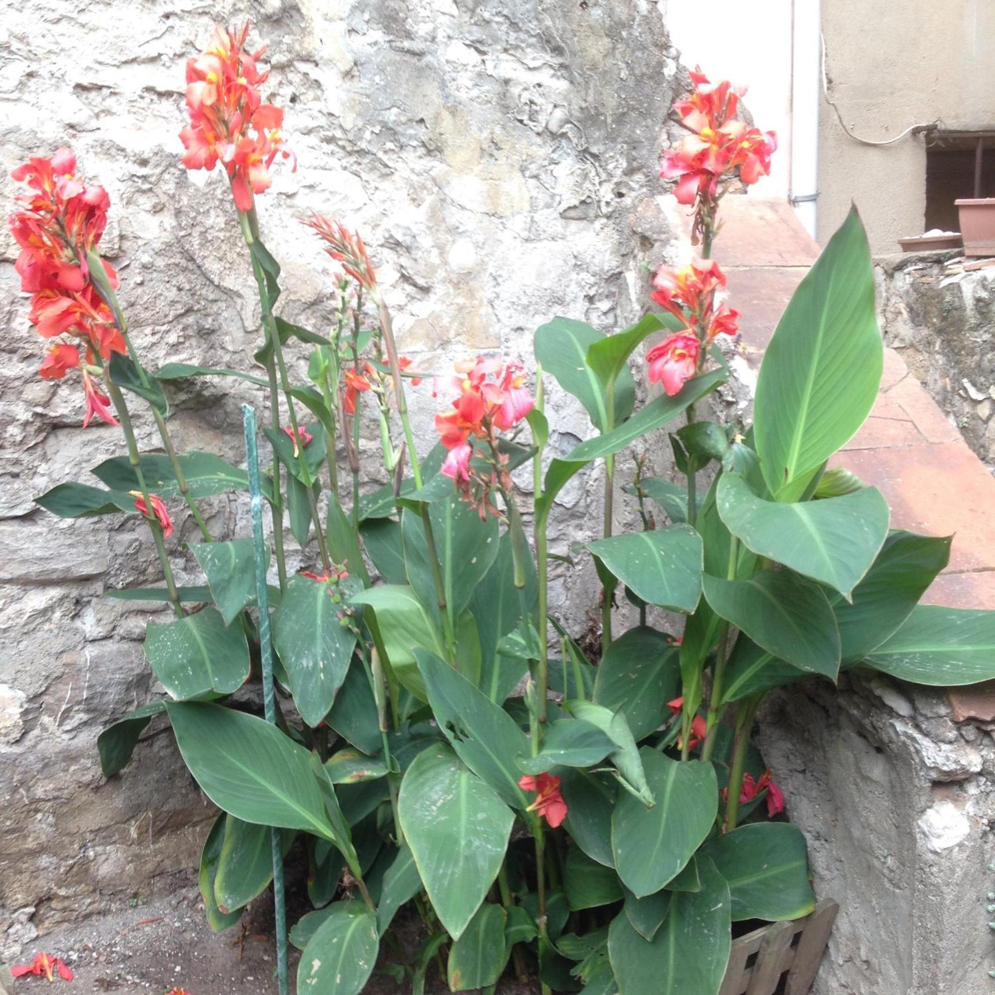 La Terrasse Du Mole Apartment แซ็ต ภายนอก รูปภาพ